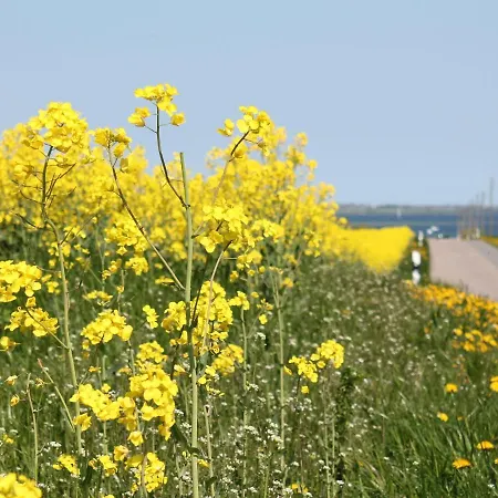 Apartmán Schoenes Am In