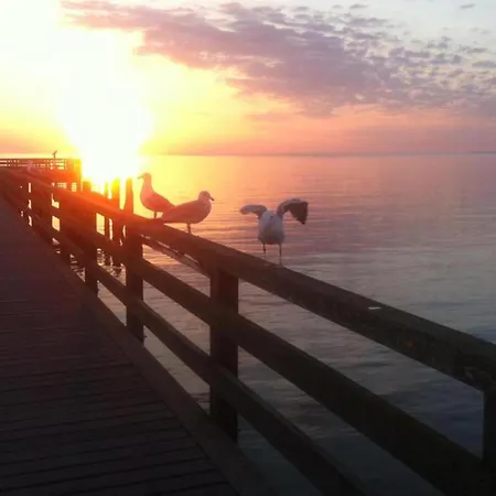 Schoenes Am In Klutz