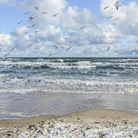 Schoenes Am In Klutz