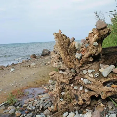 Lovely Near Sea In Klutz