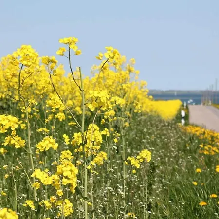 Apartmán Schoenes Am In