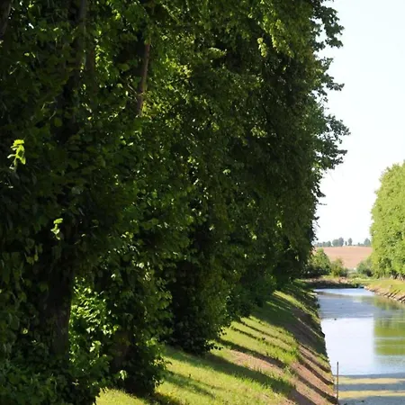 Schoenes Am In * Klutz